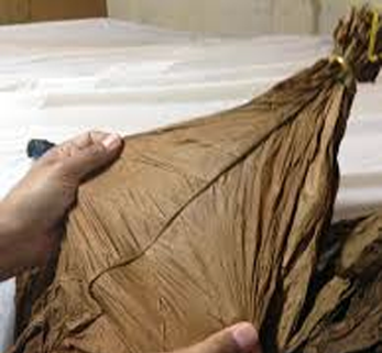 ecuadorhabanawrapper