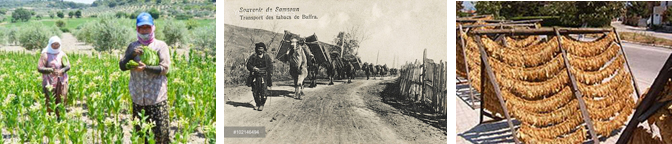 vintageturkishpics 2panel